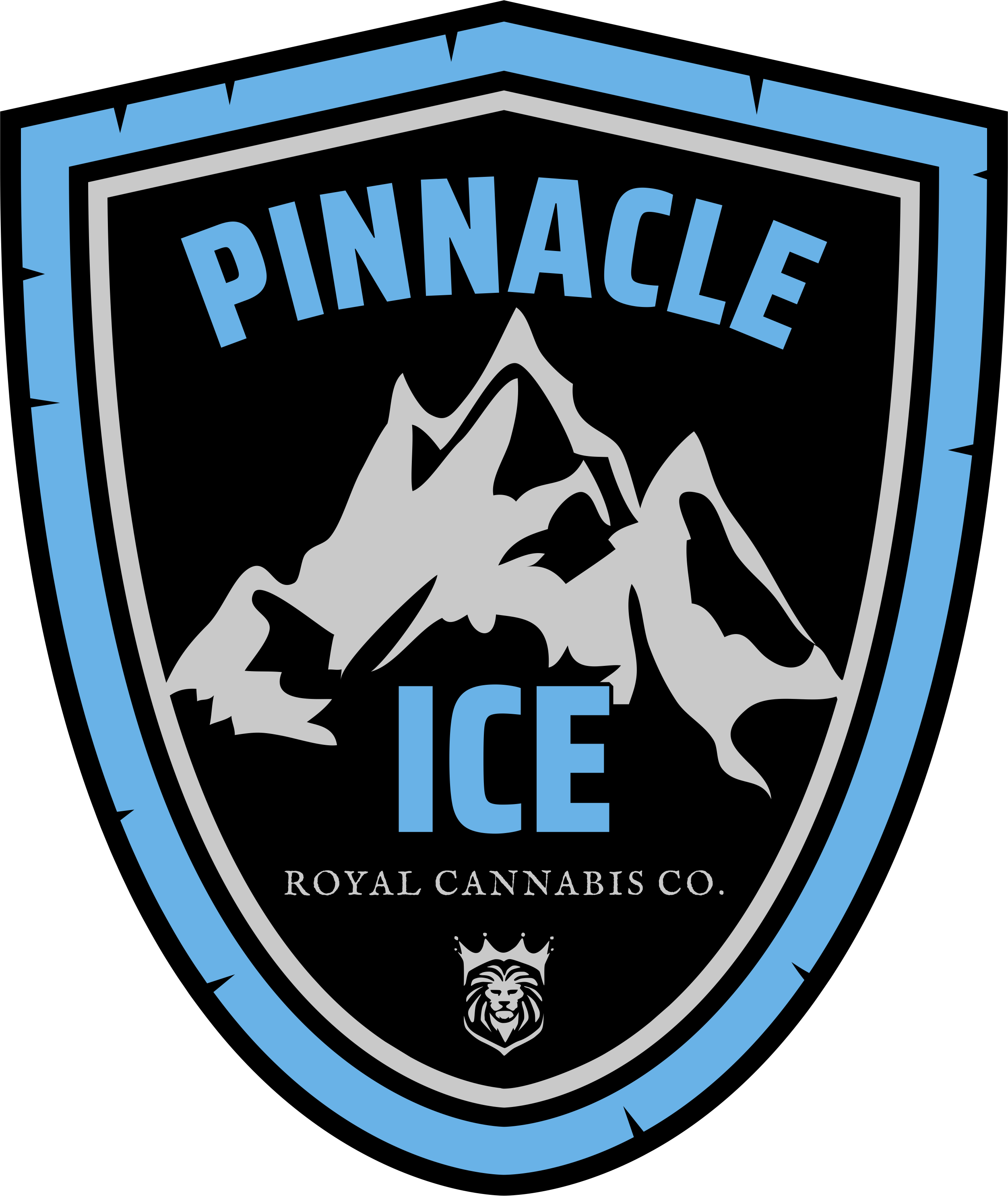 No Logo for Pinnacle Ice